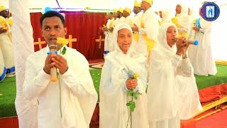 ኣሃዊከ ሰማዕታት(ናይ መድረኽ መዝሙር) Eritrean Orthodox Tewahdo Mezmure 2022