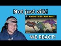 We React to How did The Silk Road Actually Work? (Knowledgia Reaction)