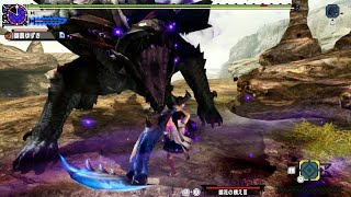 【MHXX】G3ゴアマガラ ブレイヴ太刀 2'55