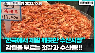 전국에서 제일 깨끗한 수산시장 감탄을 부르는 젓갈과 수산물 #외포항