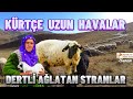 Kürtçe Uzun Havalar - Dertli Ağlatan Stranlar