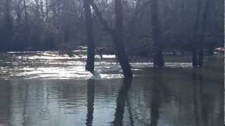 Sipsey River...near Buhl, Alabama.