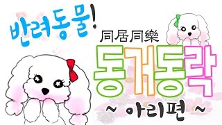 [반려동물! 동거동락] 아리의 동거동락 - 제2화 돼지가 싫어! 아니, 무서워~ -ARI'S LIFE #2