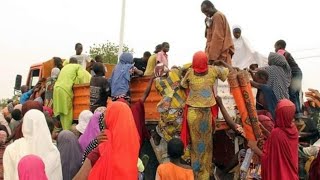 NIGER 🇳🇪🇳🇪 Yan Nigeria Na Cigaba Da Gudun Hijara Zuwa Nijar Domin Tsira Da Rai