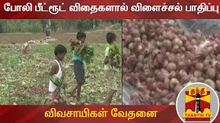 போலி பீட்ரூட் விதைகளால் விளைச்சல் பாதிப்பு : விவசாயிகள் வேதனை | BeetRootCultivation