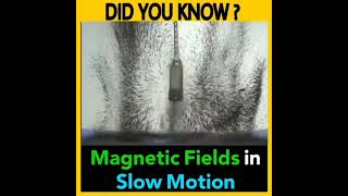 magnetic fields | magnet video | magnetic games| #shorts #shortvideo #youtubeshort #factbot