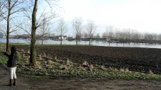 hoogwater te stevensweert 09-01-2011