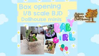 Box Opening BJD   Dollhouse Minis Aliexpress