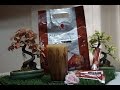 DMI Lingzhi 3 in 1 Coffee | DXN | DMI