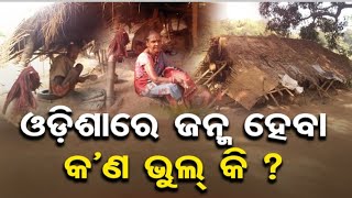 ଓଡ଼ିଶାରେ ଜନ୍ମ ହେବା କ’ଣ ଭୁଲ୍ କି ? | Amid Winter's Chill, the destitute Suffer | Odisha Reporter