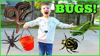 BUG HUNT With Caleb & Mommy! CATCHING BUGS For Kids!