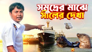 সমুদ্রের মাঝে সীলের দেখা! Sailors  vlog | Marine Engineer | Ridoy The Sailor