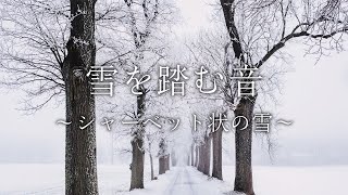 【雪を踏む音】ザクザク・・・解けかけのシャーベット状の雪