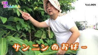 【沖縄あの人この人】サンニン（月桃）のおばー