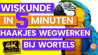 WISKUNDE IN 5 MINUTEN –  Haakjes wegwerken bij wortels