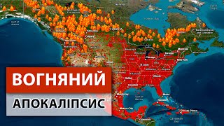 Нас ПОПЕРЕДИЛИ! Це останнє літо перед неминучим — глобальні пожежі це підтверджують