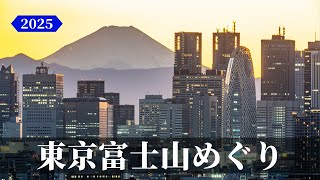 東京富士山めぐり 2025 4K