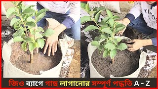 জিও ব্যাগে গাছ লাগানোর সম্পূর্ণ পদ্ধতি A - Z । Geo Bag