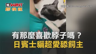 CTWANT 生活新聞 / 有那麼喜歡脖子嗎？日賓士貓超愛舔飼主