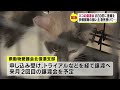 高齢の飼い主が急死…多頭飼育のネコが残される　約30匹の里親探し緊急譲渡会