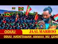 Oduu ONM-ABO Oduu Afaan Oromo Guyyaa Hardhaa Injifannoo Cululuqaa WBO Ammee Afaan Oromoo ‎