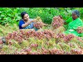 Life of Onion !!! Gongura Chicken | The Mud House