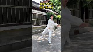 Tai Chi focuses on inner spiritual cultivation and physical transformation#taichi #kungfu #shorts