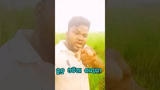 କୁଆଡ଼େ ଗଲା ତୋ ପ୍ରେମ💔🤣#rudraodiyashayari #youtubeshorts #viral #shortvideo #trending