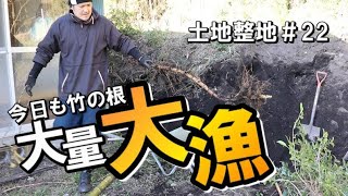 土地整地＃22｜この辺りから竹の根が大量に出てきた｜ロープと竹を使ってどんどん抜こうぜ！