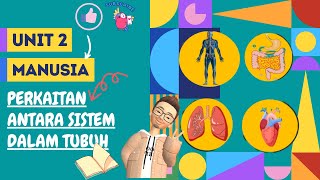 Sains Tahun 5 | Perkaitan Antara Sistem Dalam Tubuh