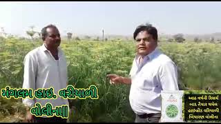 હા.વળીયાળી મંગલમ વોલીના|| HY.fenal volina