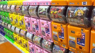 日本扭蛋機奇趣蛋 小公主蘇菲亞美少女戰士懶蛋蛋扭蛋  Gashapon machines Sofia the First Sailormoon Gudetama surprise eggs