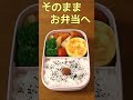 【お弁当用卵焼き】 shorts　紙コップを使って、かわいい卵焼きを作る