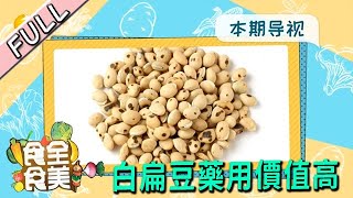 食全食美 20220815：白扁豆藥用價值高，營養專家帶妳了解藥食同源白扁豆的秘密