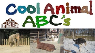 Cool Animal ABC's - Zoo Alphabet - The Kids' Picture Show (Fun & Educational Learning Video)