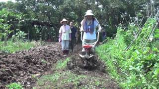 CY80M變形小金鋼淡水社大學員學習5馬十聯刀鬆土2 (10-rotary 5HP tillage blade)