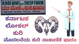 ಕರ್ನಾಟಕ ಲೋಕಲ್ ಕುರಿ  ಸಾಕಾಣಿಕೆ   Karnataka Local Sheep sakanike