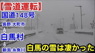 【雪道運転】長野:白馬村.国道148号.白馬の雪は凄かった、、、