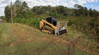 Mulched up everything for a new homeplace