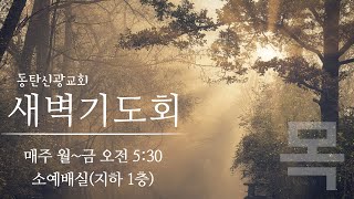 2023.11.16.목. 동탄신광교회 새벽기도회