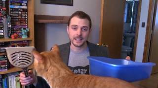Cat Owner Interrupted During BBC Interview