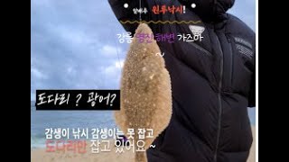 동해 강릉 영진해변 원투낚시 감성돔 포인트 가즈아 ~ ~