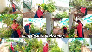 🏕🌱தோட்டத்த விட அதிகமாக புல்லு வரும்போல மாடிதோட்டத்தில்..😴|Terrace garden update|#madithottam #vlog