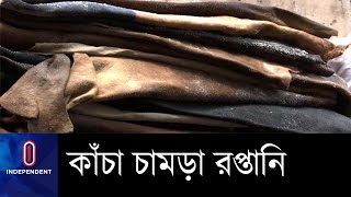 অনুমতি দেয়া হলেও প্রস্তুতি না থাকায় এবারের ঈদে কাঁচা চামড়া রপ্তানির সম্ভাবনা কম  || Leather Export