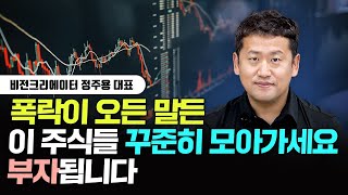 폭락이 오든 말든 이 주식들 꾸준히 모아가세요. 부자됩니다｜정주용 대표 3부