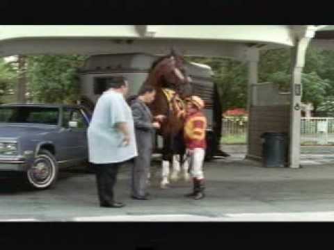 Friday Fun: Horses In Commercials - Budweiser and More!