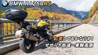 紅葉してるかな？＃１ せせらぎ街道〜乗鞍高原