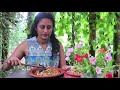 the story of mung bean vegetarian dishes මුං කතාව poorna the nature girl