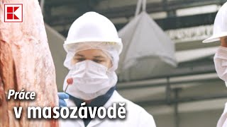 Práce v masozávodě | Kaufland