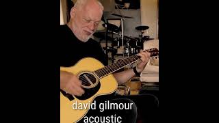 David Gilmour Plays Pink Floyd Classic \